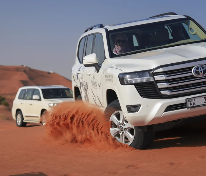 evening safari dune bashing