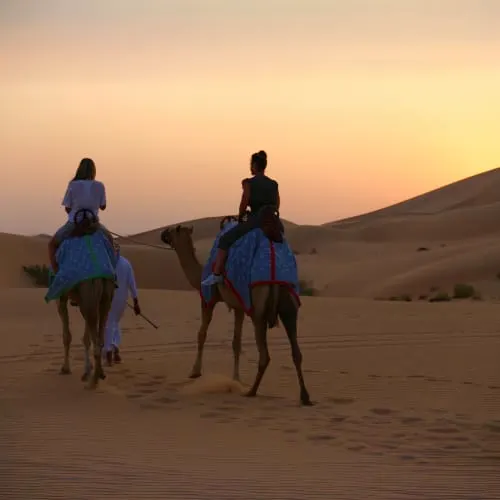 Morning Desert Safari