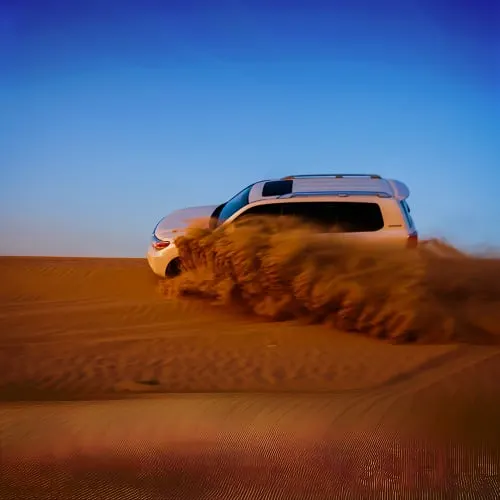 Morning Desert Safari