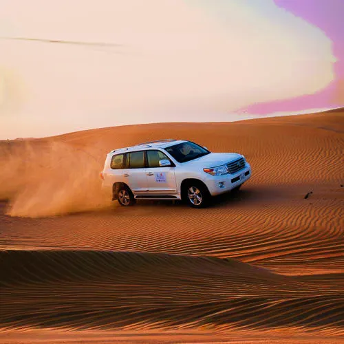 Morning Desert Safari