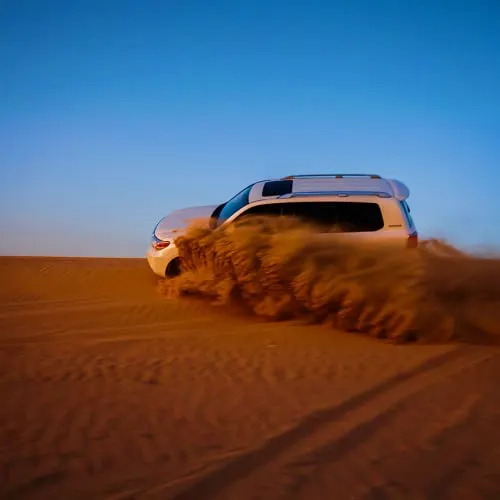 Dinner In Desert