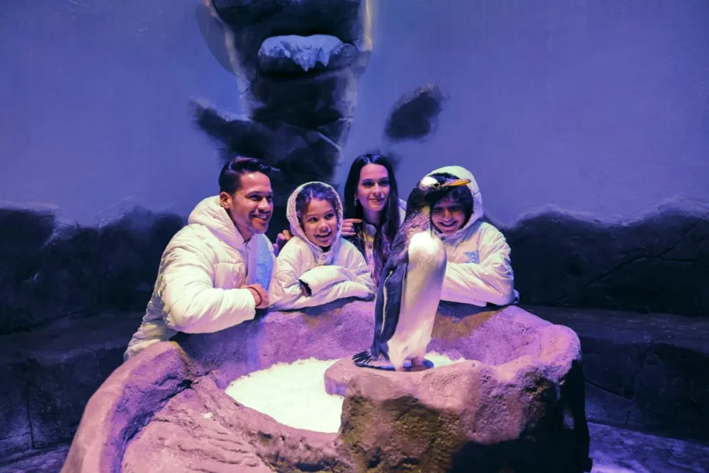 Dubai Aquarium and Underwater Zoo